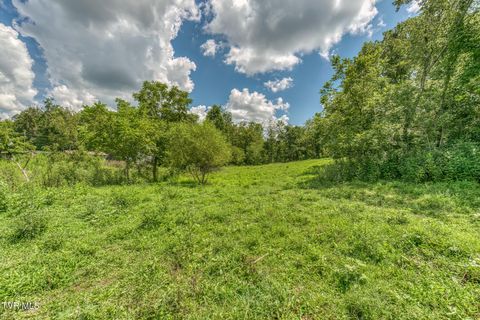 Tiny photo for 108 Oak Hill Circle, Jonesborough, TN 37659 (MLS # 9986448)