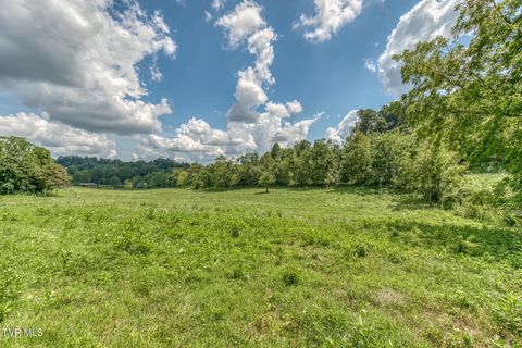 Tiny photo for 108 Oak Hill Circle, Jonesborough, TN 37659 (MLS # 9986448)