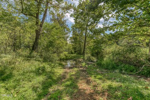 Tiny photo for 108 Oak Hill Circle, Jonesborough, TN 37659 (MLS # 9986448)