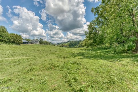 Tiny photo for 108 Oak Hill Circle, Jonesborough, TN 37659 (MLS # 9986448)