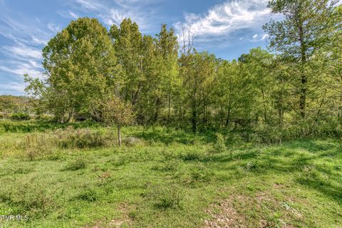 Tiny photo for 108 Oak Hill Circle, Jonesborough, TN 37659 (MLS # 9986448)