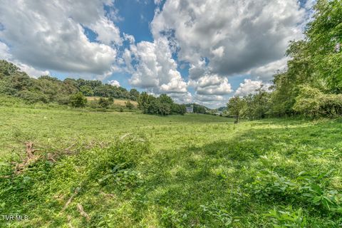 Tiny photo for 108 Oak Hill Circle, Jonesborough, TN 37659 (MLS # 9986448)