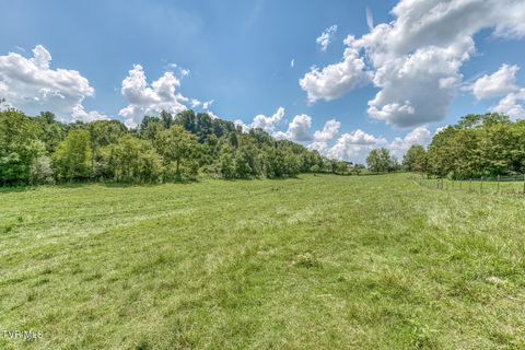 Tiny photo for 108 Oak Hill Circle, Jonesborough, TN 37659 (MLS # 9986448)
