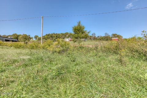 Tiny photo for 108 Oak Hill Circle, Jonesborough, TN 37659 (MLS # 9986448)