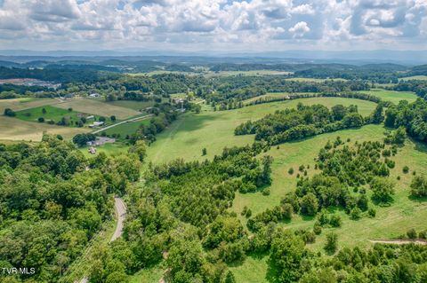 Tiny photo for 108 Oak Hill Circle, Jonesborough, TN 37659 (MLS # 9986448)