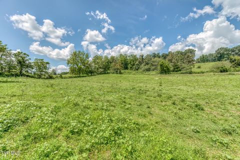 Tiny photo for 108 Oak Hill Circle, Jonesborough, TN 37659 (MLS # 9986448)