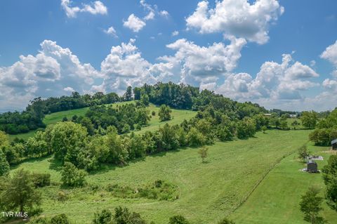 Tiny photo for 108 Oak Hill Circle, Jonesborough, TN 37659 (MLS # 9986448)
