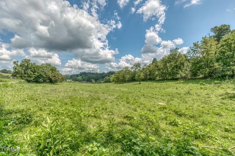 Tiny photo for 108 Oak Hill Circle, Jonesborough, TN 37659 (MLS # 9986448)