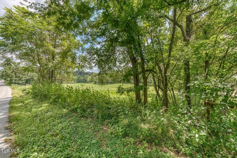 Tiny photo for 108 Oak Hill Circle, Jonesborough, TN 37659 (MLS # 9986448)