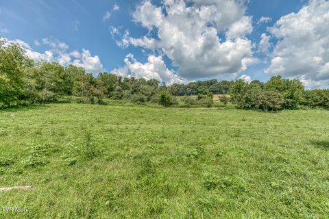 Tiny photo for 108 Oak Hill Circle, Jonesborough, TN 37659 (MLS # 9986448)