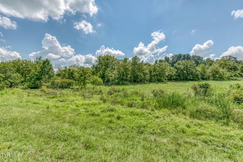 Tiny photo for 108 Oak Hill Circle, Jonesborough, TN 37659 (MLS # 9986448)