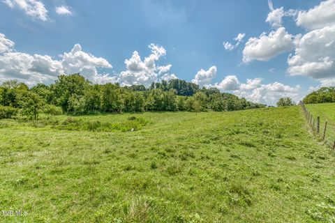 Tiny photo for 108 Oak Hill Circle, Jonesborough, TN 37659 (MLS # 9986448)