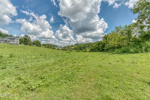 Tiny photo for 108 Oak Hill Circle, Jonesborough, TN 37659 (MLS # 9986448)
