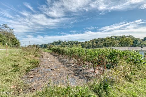 Tiny photo for 108 Oak Hill Circle, Jonesborough, TN 37659 (MLS # 9986448)