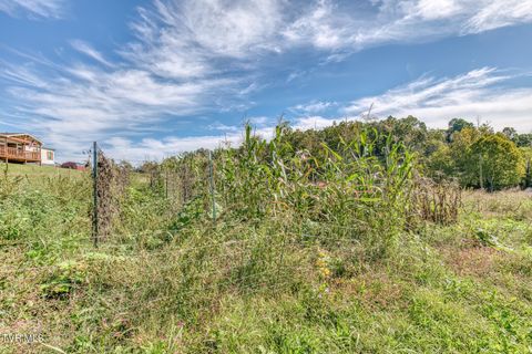 Tiny photo for 108 Oak Hill Circle, Jonesborough, TN 37659 (MLS # 9986448)