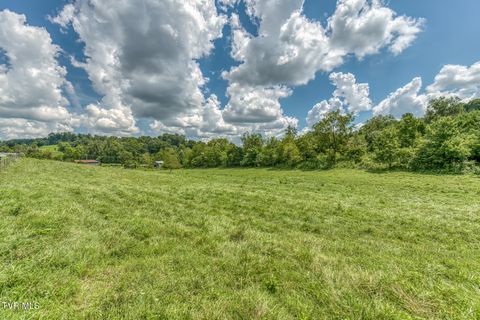 Tiny photo for 108 Oak Hill Circle, Jonesborough, TN 37659 (MLS # 9986448)