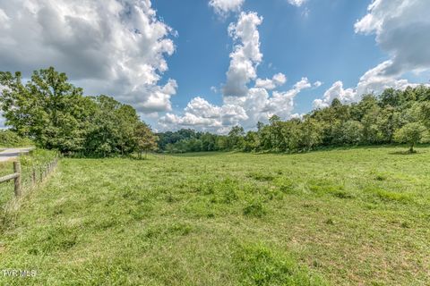 Tiny photo for 108 Oak Hill Circle, Jonesborough, TN 37659 (MLS # 9986448)