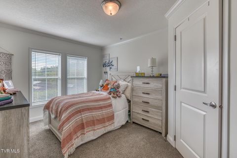 Tiny photo for 108 Oak Hill Circle, Jonesborough, TN 37659 (MLS # 9986448)