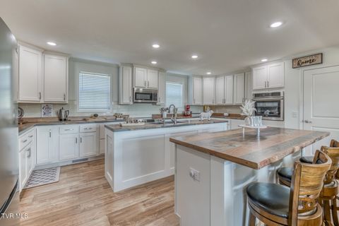 Tiny photo for 108 Oak Hill Circle, Jonesborough, TN 37659 (MLS # 9986448)