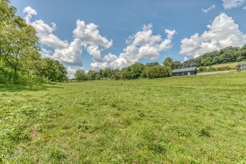 Tiny photo for 108 Oak Hill Circle, Jonesborough, TN 37659 (MLS # 9986448)