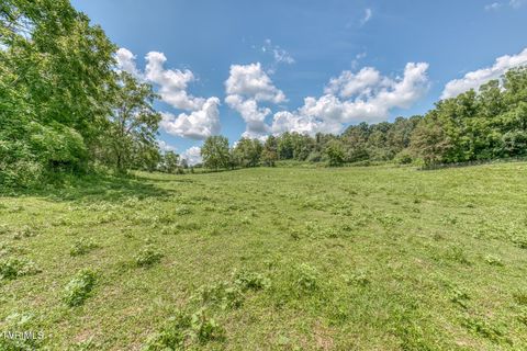 Tiny photo for 108 Oak Hill Circle, Jonesborough, TN 37659 (MLS # 9986448)