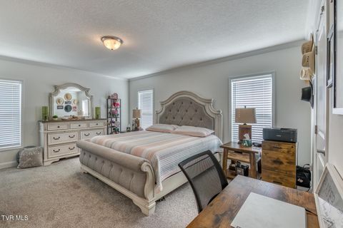 Tiny photo for 108 Oak Hill Circle, Jonesborough, TN 37659 (MLS # 9986448)