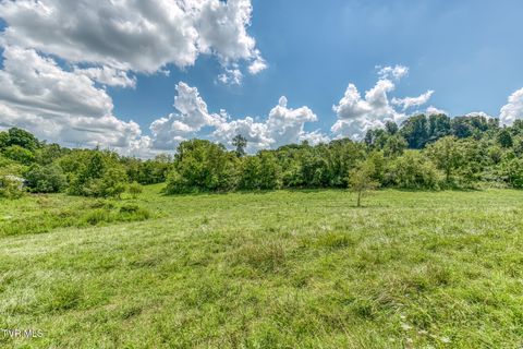Tiny photo for 108 Oak Hill Circle, Jonesborough, TN 37659 (MLS # 9986448)