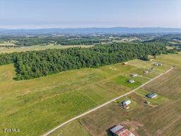 1280 Paul Baskette Road, Limestone, Tennessee image 5