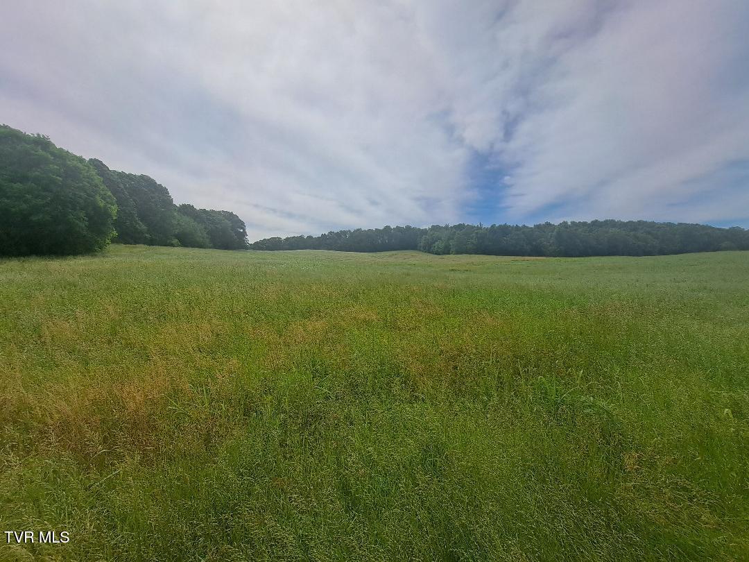 1280 Paul Baskette Road, Limestone, Tennessee image 2