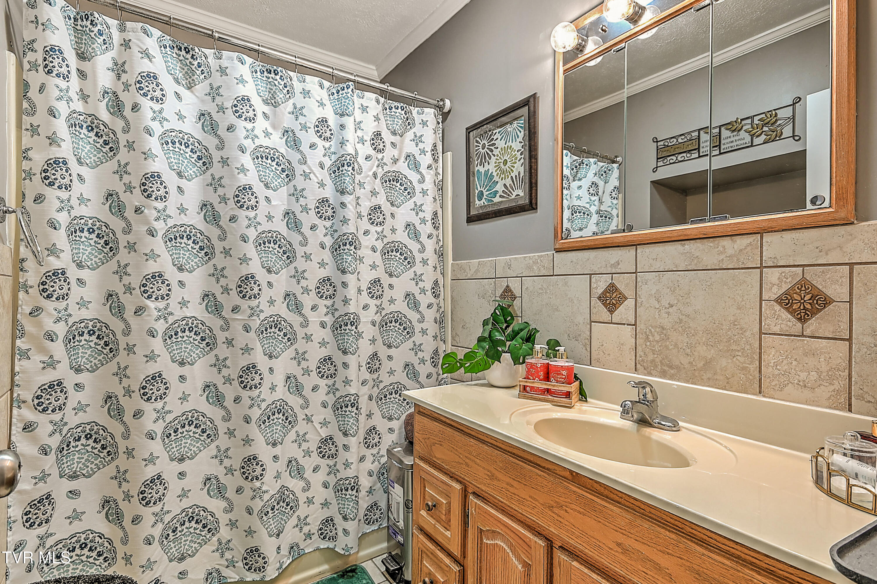 205 Live Oak Drive, Kingsport, Tennessee image 27