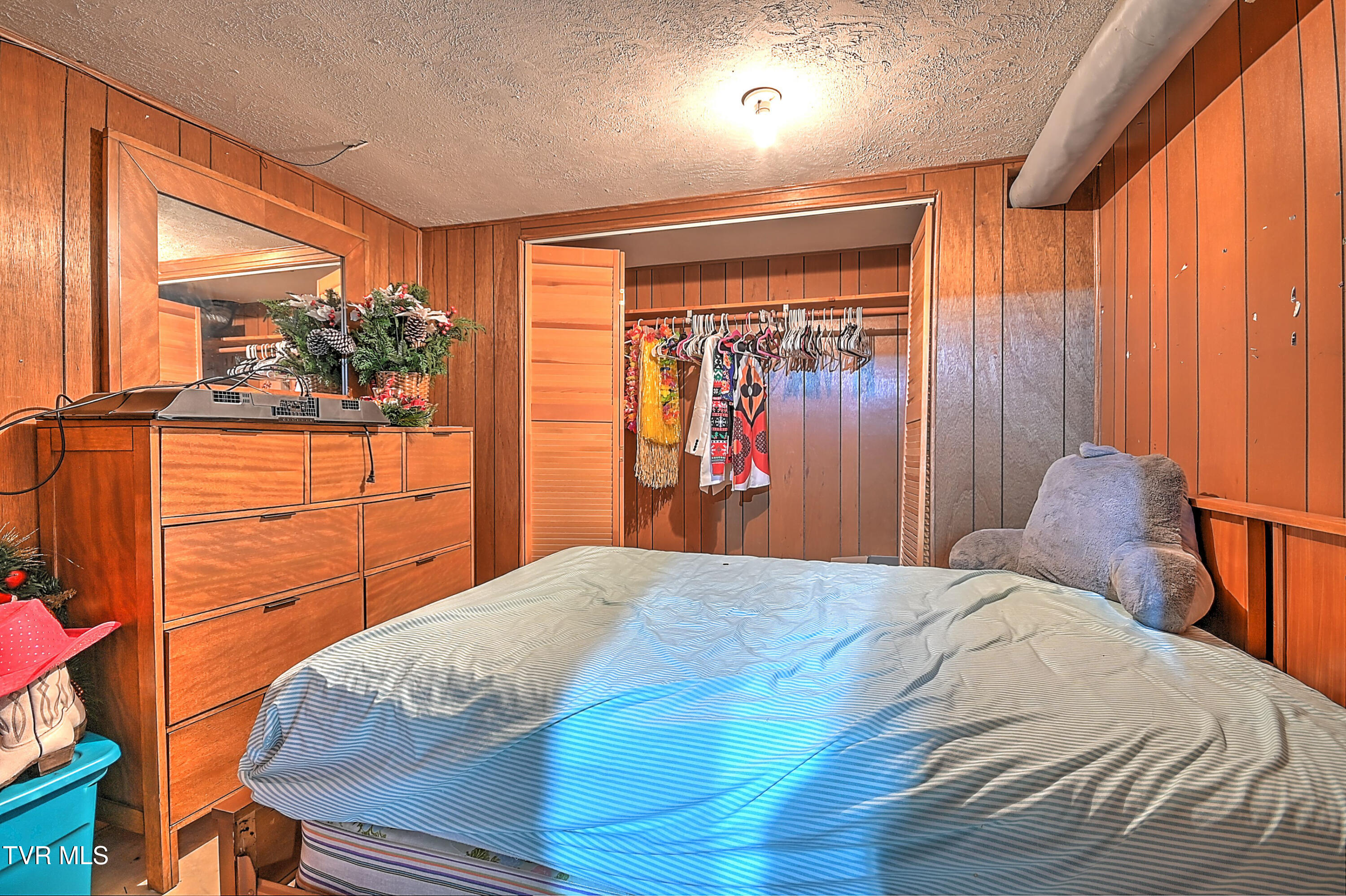 205 Live Oak Drive, Kingsport, Tennessee image 45