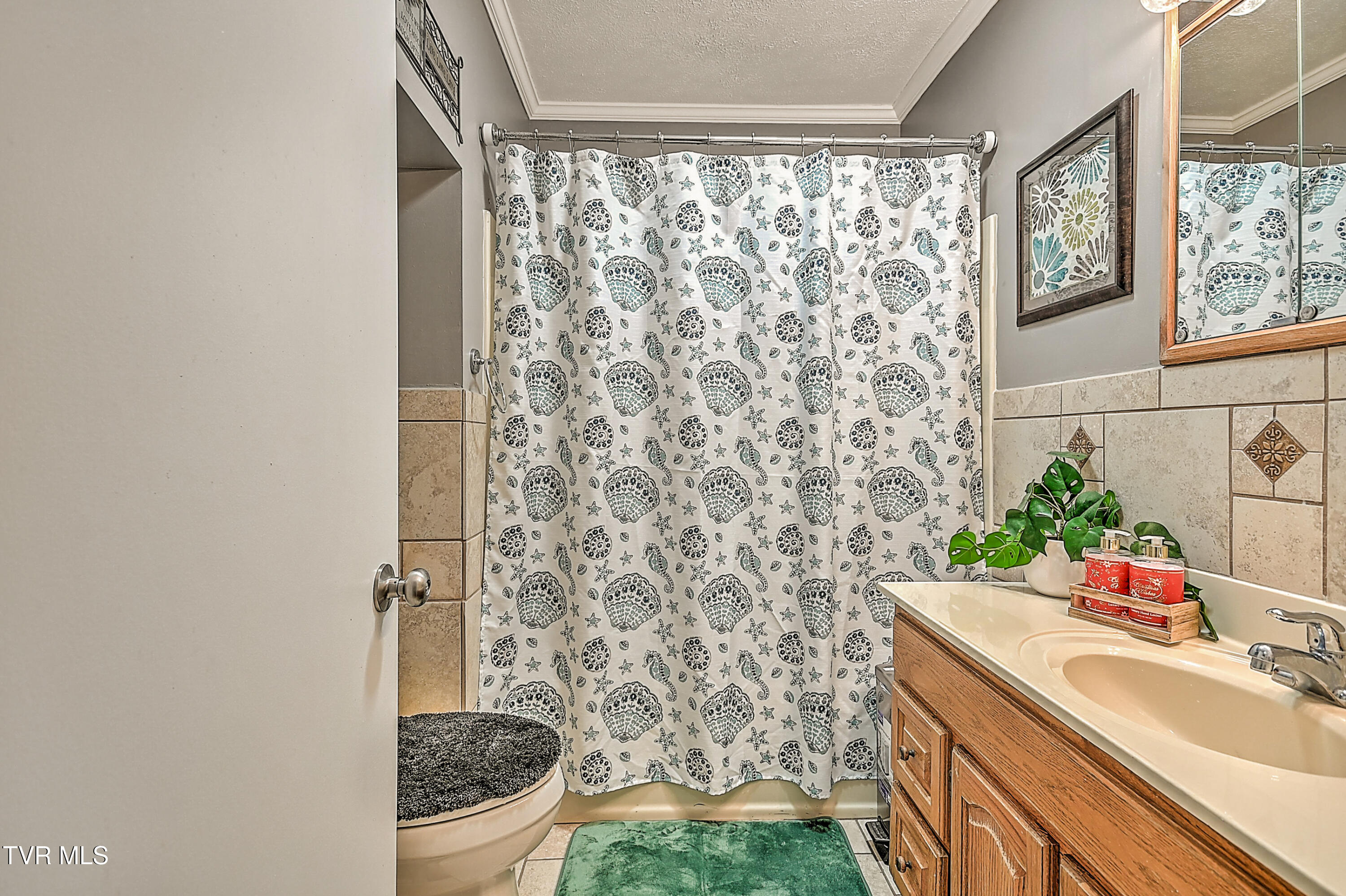 205 Live Oak Drive, Kingsport, Tennessee image 26