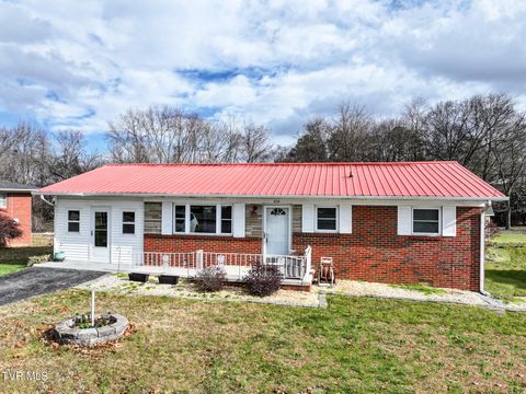 Photo of 616 Haun Drive, Morristown, TN 37814 (MLS # 9989726)