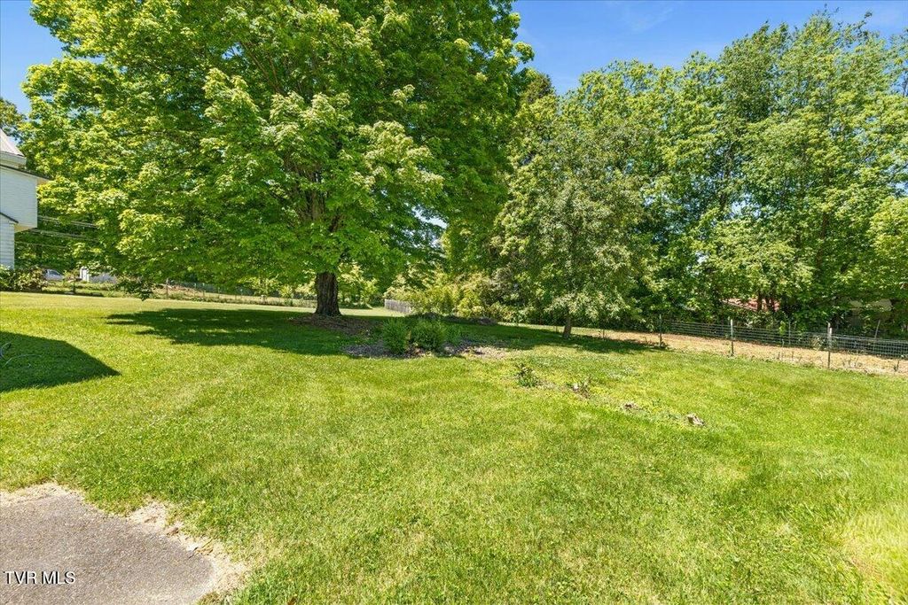 Photo of 2736 Walnut Street, Johnson City, TN 37604 (MLS # 9995530)