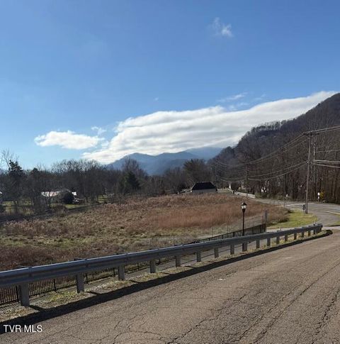Vacant Land For Sale - TBD Old Fishery Road Road<br/> Unicoi County, Erwin, TN 37650