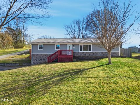 Photo of 501 Paul Street, Greeneville, TN 37743 (MLS # 9989918)