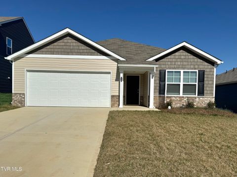 160 Crawford Circle, Bristol, TN 37620 - MLS#: 9968662