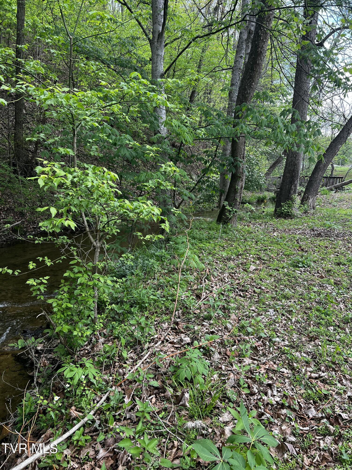 628 Cash Hollow Road, Johnson City, Tennessee image 12
