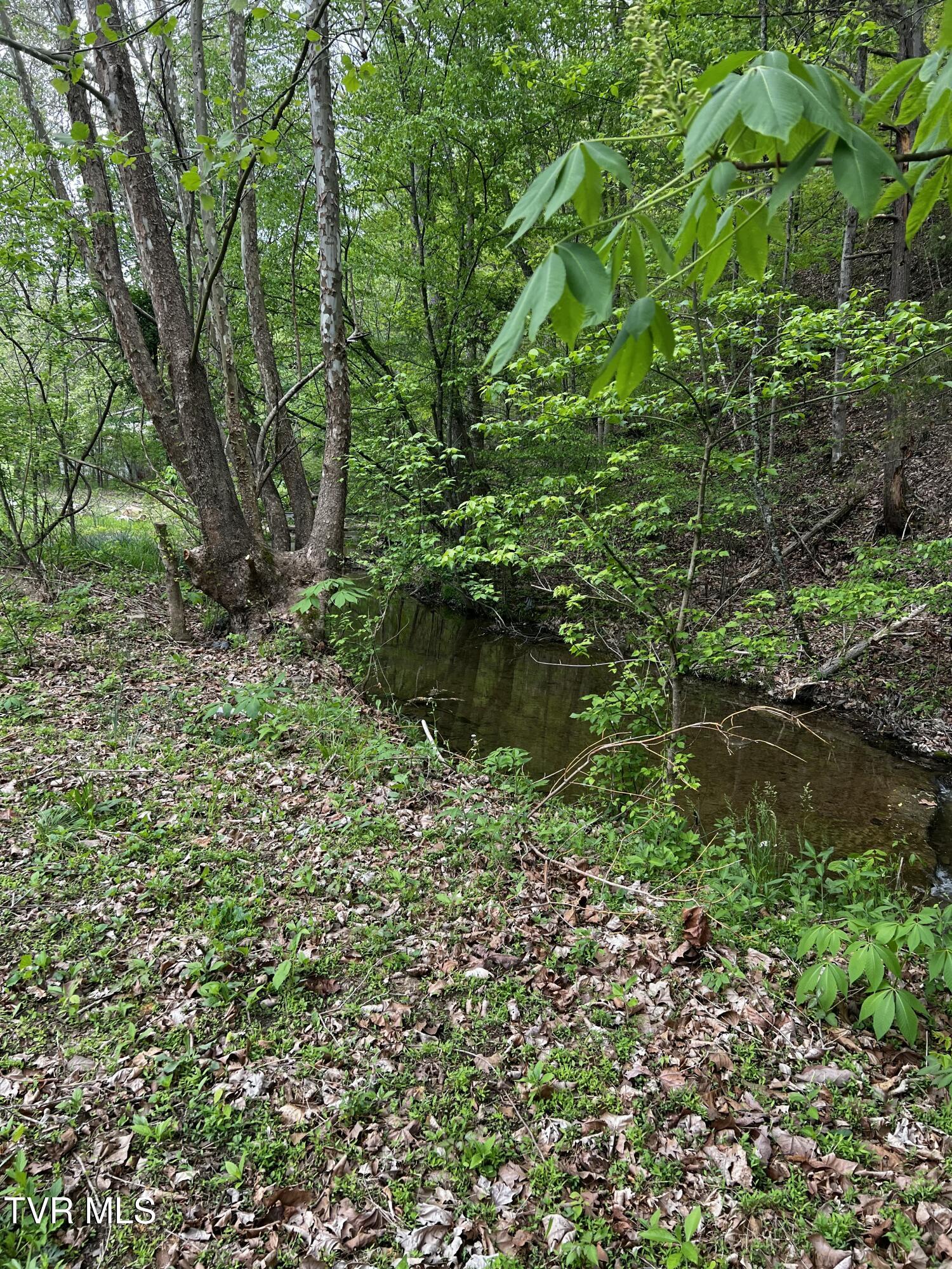 628 Cash Hollow Road, Johnson City, Tennessee image 11