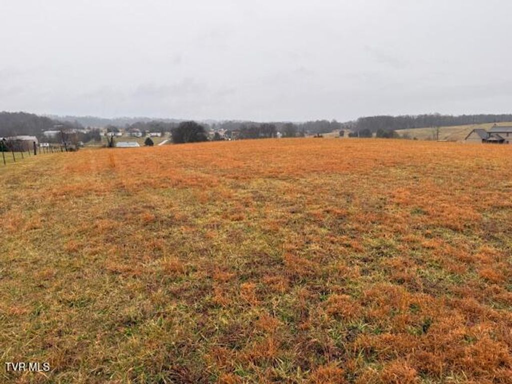 Photo of 955 Leesburg Road, Jonesborough, TN 37659 (MLS # 9989986)