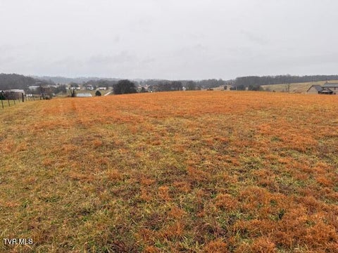 Vacant Land For Sale - 955 Leesburg Road<br/> Jonesborough, TN 37659