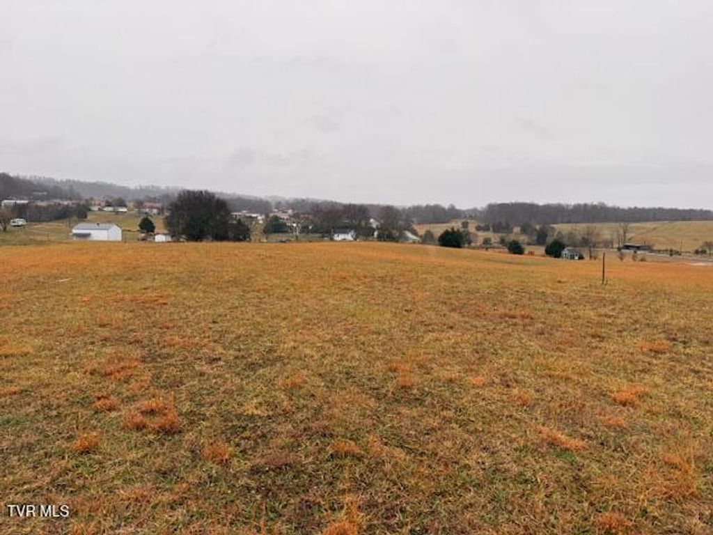 Photo of 955 Leesburg Road, Jonesborough, TN 37659 (MLS # 9989986)