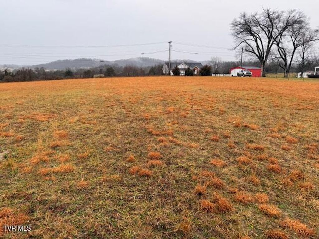 Photo of 955 Leesburg Road, Jonesborough, TN 37659 (MLS # 9989986)