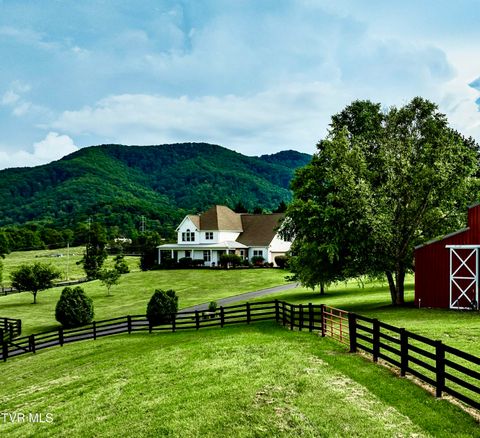 330 Sea Biscuit Court Johnson City TN 37604