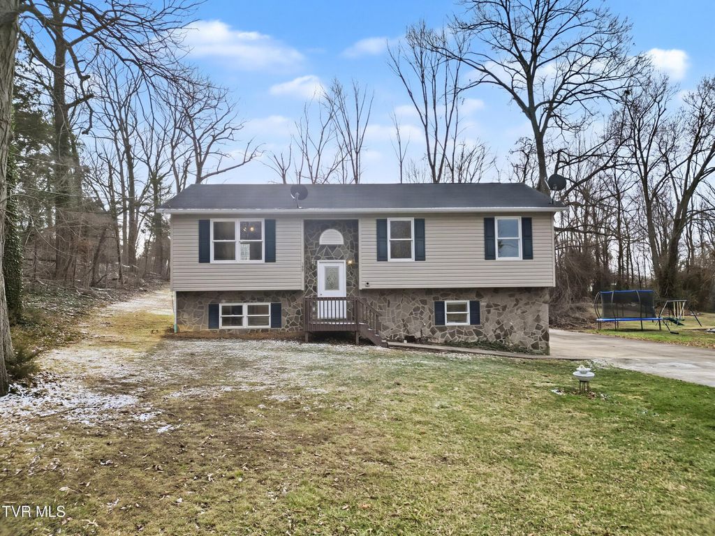 Photo of 399 Hillcrest Drive, Greeneville, TN 37745 (MLS # 9990839)