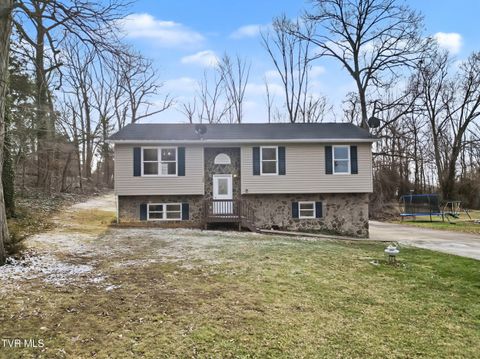 399 Hillcrest Drive Greeneville TN 37745