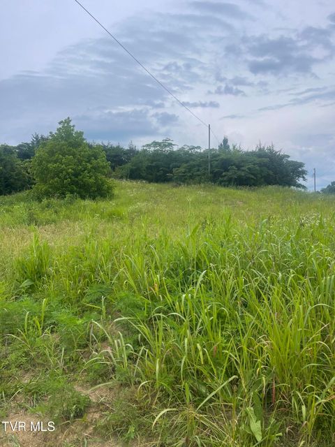 Vacant Land For Sale - N/A Oakwood Road<br/> Midway, TN 37809