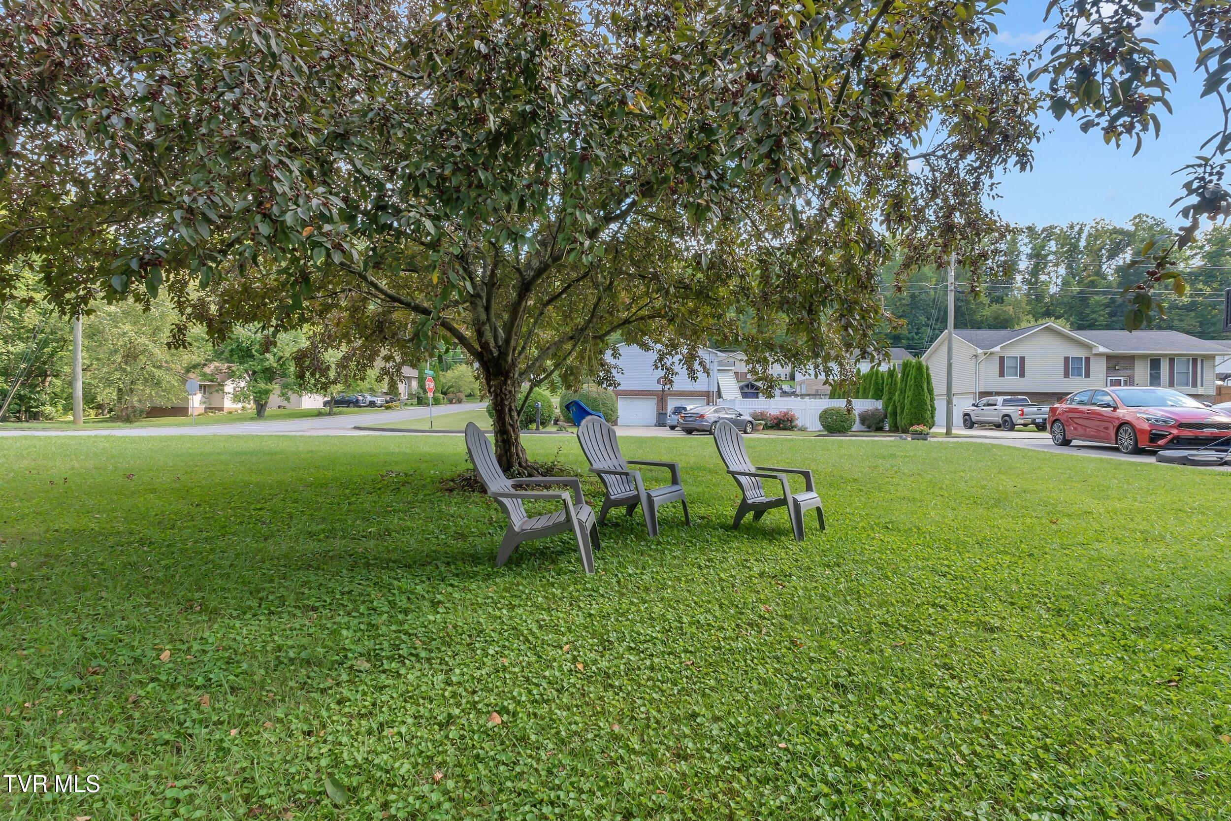 219 Grandview Street, Mount Carmel, Tennessee image 30