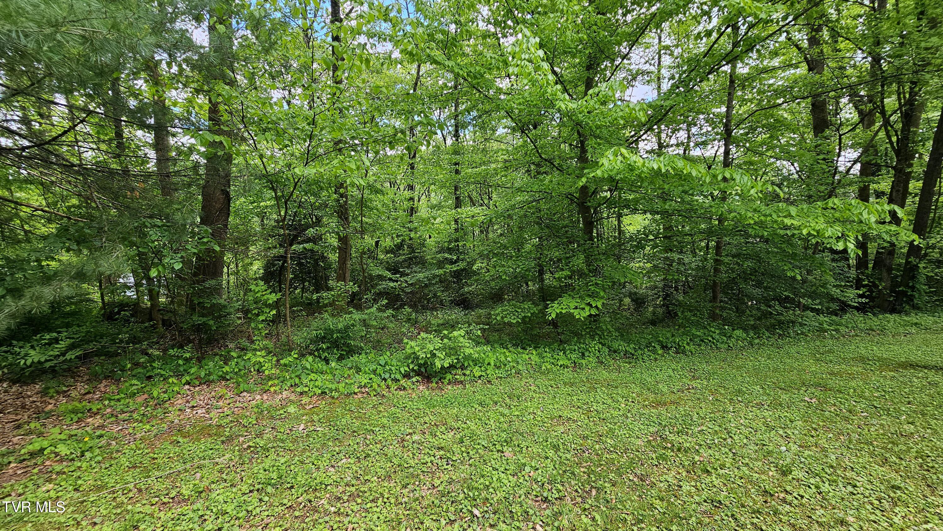 824 Buckner Avenue, Big Stone Gap, Virginia image 5