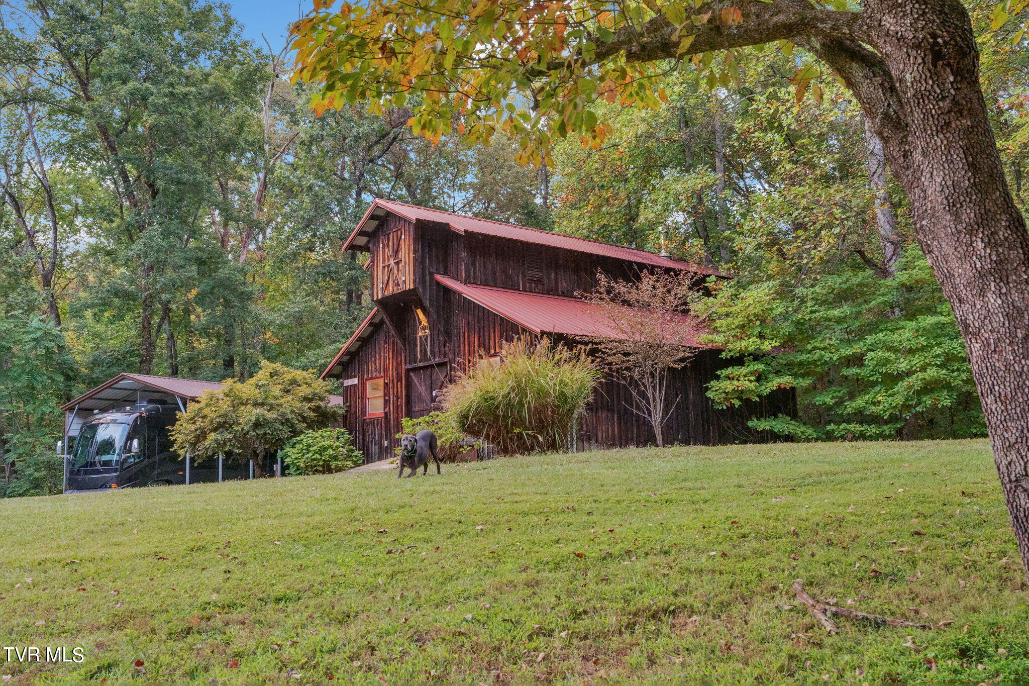 346 Edgefield Rd Road, Piney Flats, Tennessee image 12